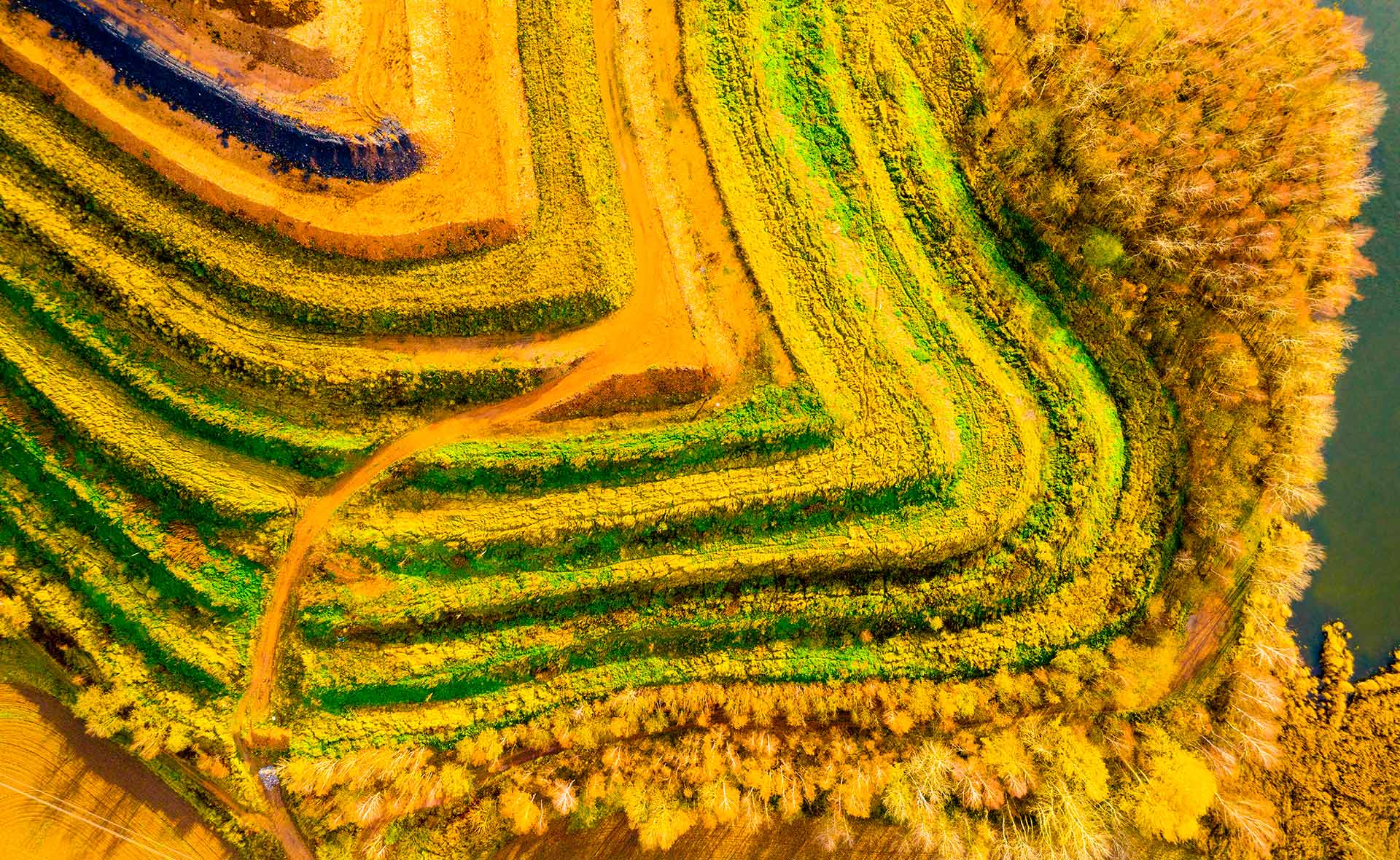 Innovación tecnológica en la minería: hacia una industria más sostenible y eficiente